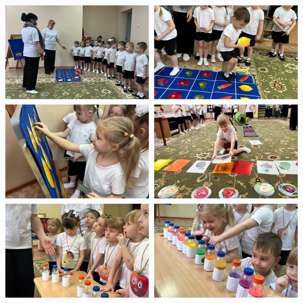 «В поисках витаминного клада»